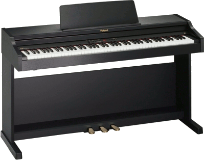 ROLAND RP 301