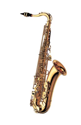 YANAGISAWA T-901
