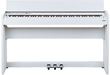 ROLAND F 110