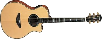YAMAHA APX 900